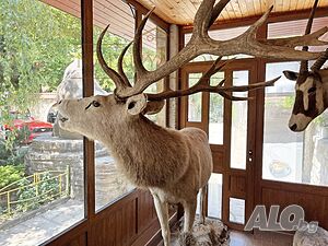 image_14