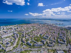 image_11