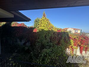 image_18