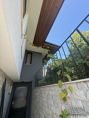 image_7