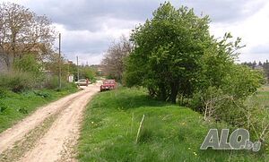 image_5