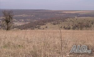 Парцел за продажба в Сърнец, област Добрич