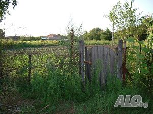 image_9