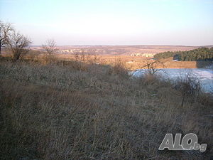 image_8