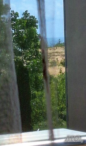 image_43