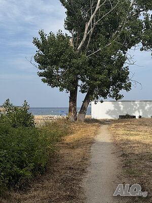 image_22