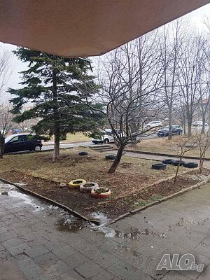 image_2