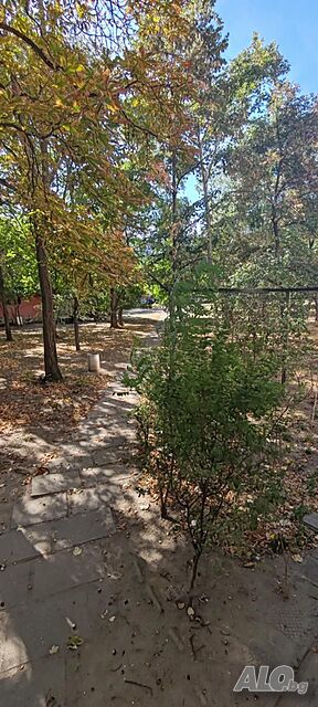 image_6