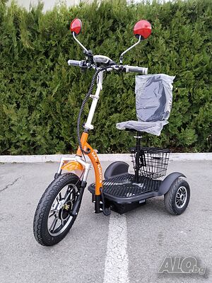 image_7
