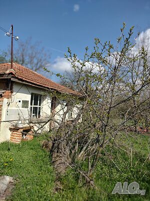 image_2