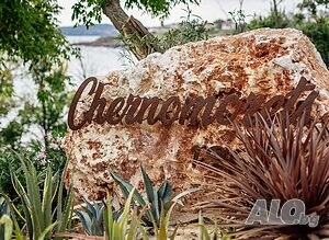 image_23
