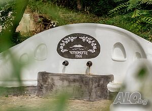 image_18