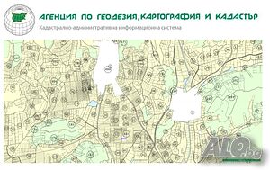 image_12