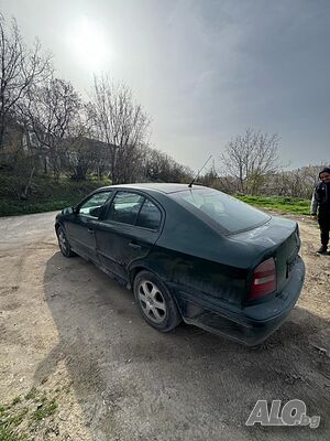 image_11