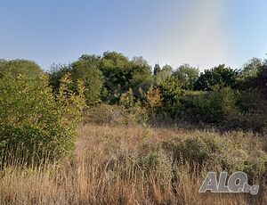 Парцел в село Емона