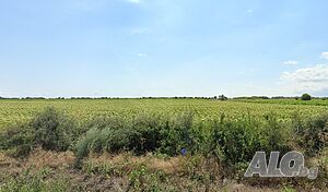 Парцел в село Присад