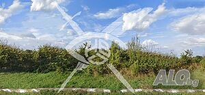 Парцел в с. Приселци!