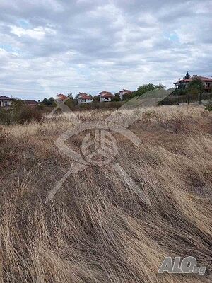 Палцел в Белащица!