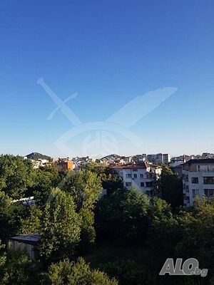 image_7