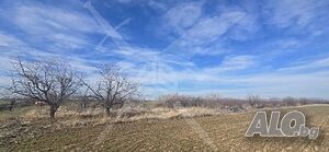 Земеделска земя в китното селце Цалапица!