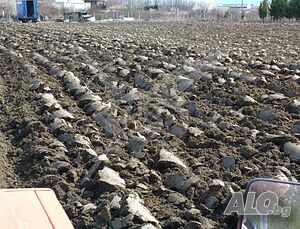 10 декара на Асеноврадско шосе