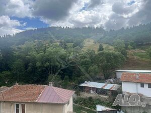 image_7