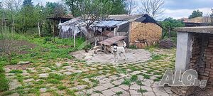image_13