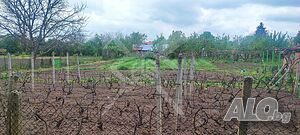 image_15