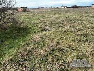 15дка в село Мирово