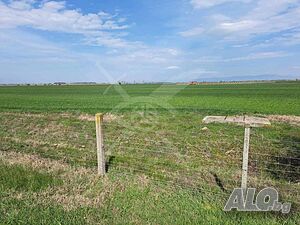 Парцел в Царацово