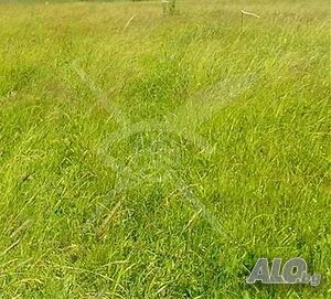 Парцел в Радиново 31691