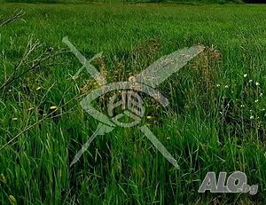 Парцел в Йоаким Груево 87885