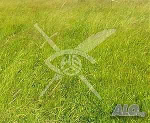 Парцел в Горнослав