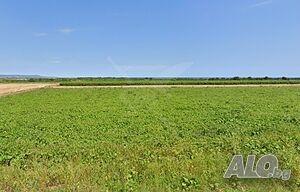Парцел в Черноморец