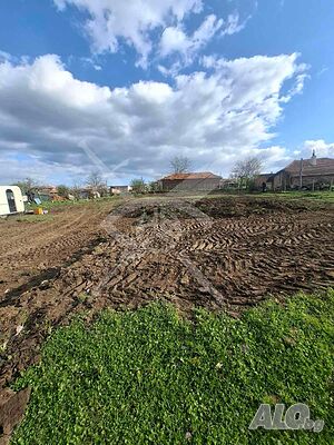Дворно място с идеен проект за къща в Слънчев бряг