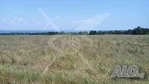 Парцел в Черноморец 93318