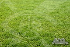 Продава се парцел в с. Брестовица!
