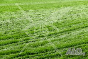 Продава се парцел в Беломорски!