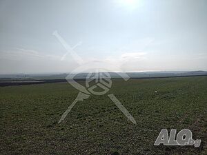 Парцел за строителство в с. Кошарица!
