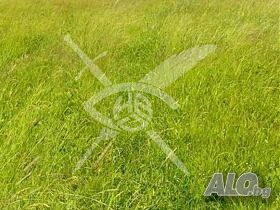 Парцел в Хисаря