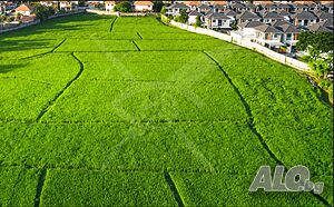 Парцел в Куртово Конаре