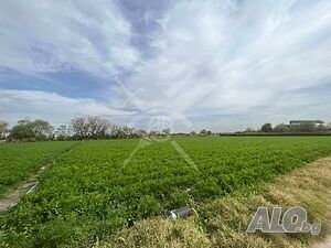 image_4