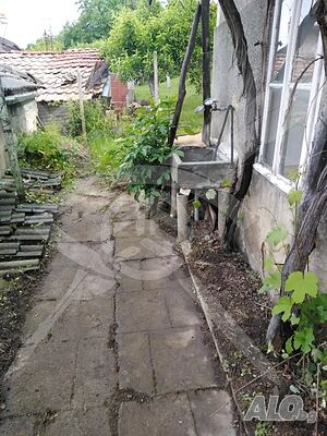 image_6