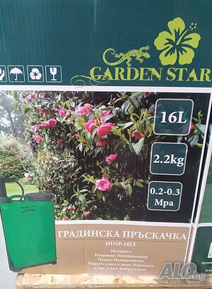 image_8