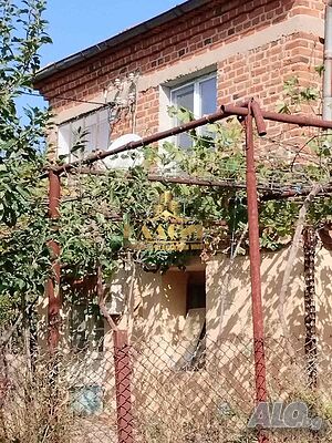 image_11