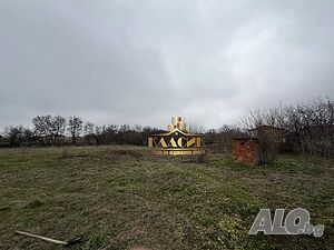 image_7