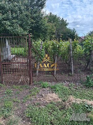 Парцел на Курткая Продажба 500 кв.м В регулация (УПИ) Без ток Без вода | Парцели за застрояване, Инвестиционни проекти | Курткая Ямбол