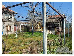 image_10