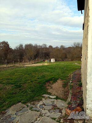 image_13