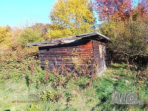 image_10